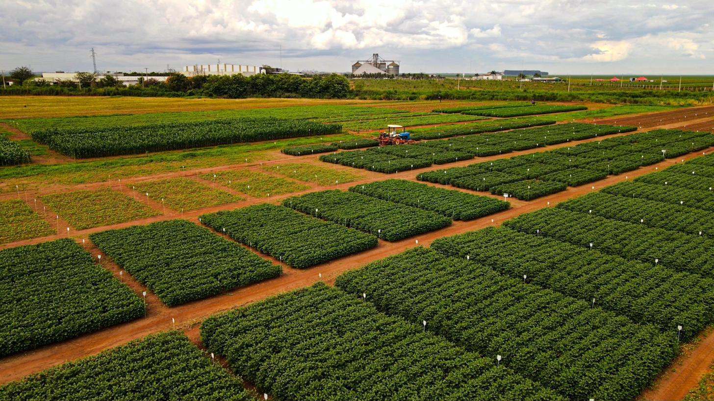 Vista aérea do campo experimental da AGROMAX, com parcelas de soja e milho demarcadas e pulverizador em operação
