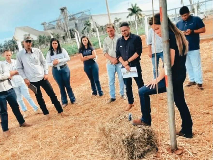 Grupo acompanhando demonstração a campo durante o Dia de Campo